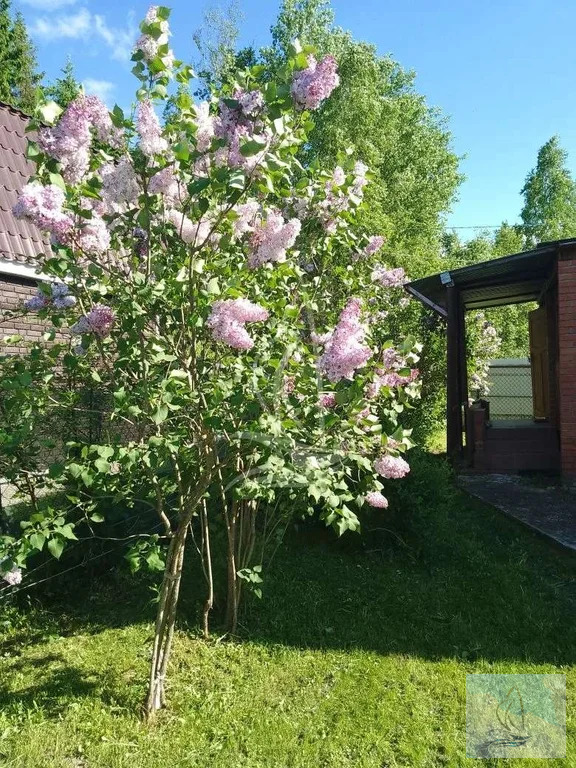 Продажа дома, СНТ Медик - Фото 1