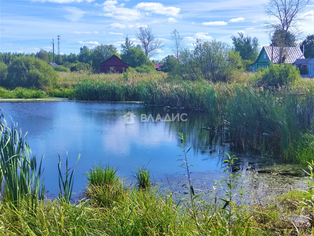 Камешковский район, деревня Леонтьево,  дом на продажу - Фото 6