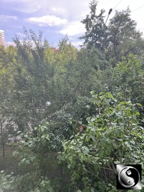 Аренда однокомнатной квартиры 39.0м Луговой проезд, 1/8, Москва, ЮВАО, - Фото 15