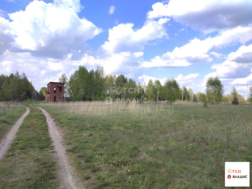 Продажа участка, Тимково, Богородский г. о. - Фото 6