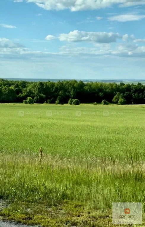 Продажа дома, Саконы, Алексеевский район, ул. Центральная - Фото 5