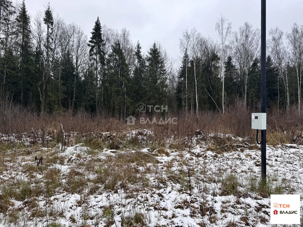 Продажа участка, Могильцы, Лотошинский район - Фото 5