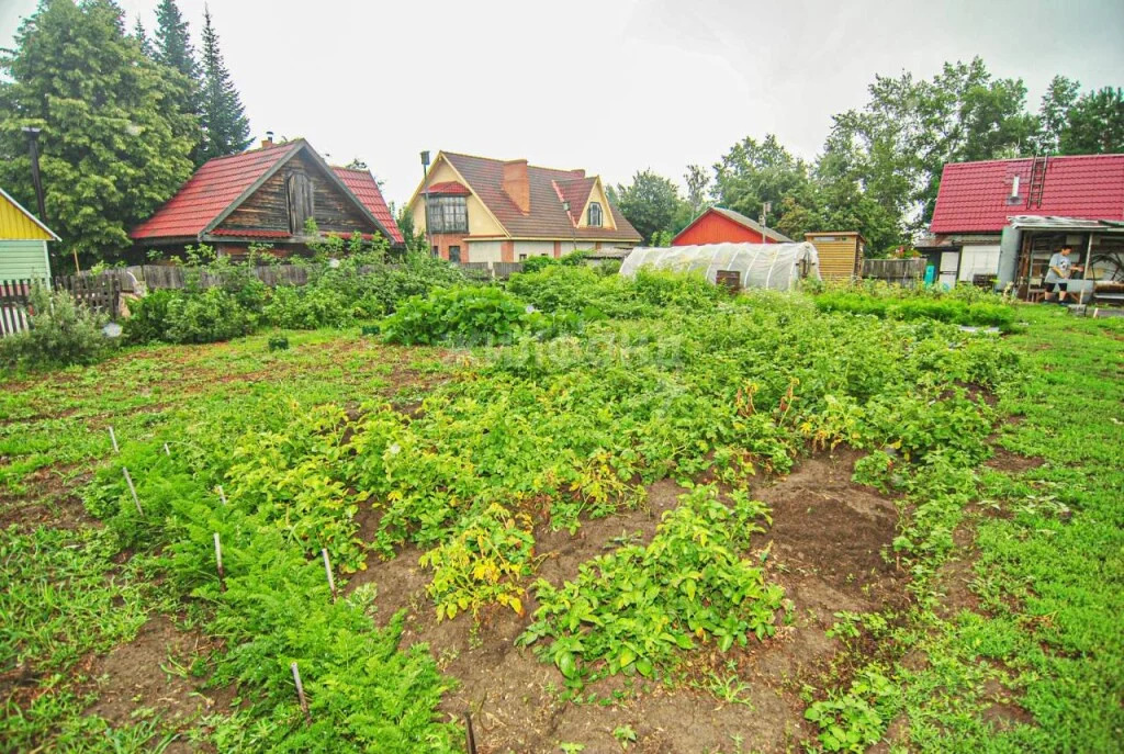 Продажа дома, Береговое, Новосибирский район, ул. Набережная - Фото 27