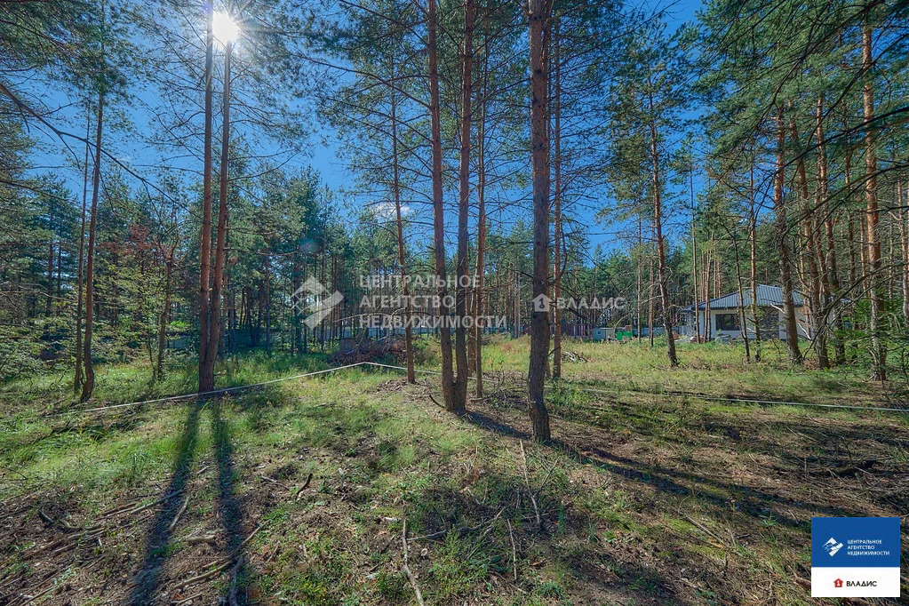 Продажа участка, Алеканово, Рязанский район, Лесная улица - Фото 1