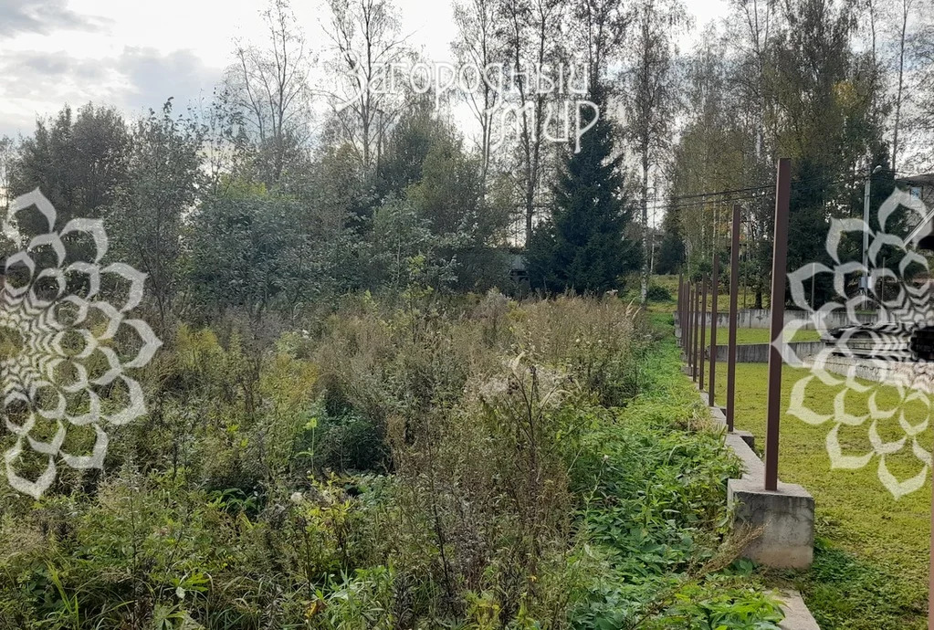 Продам участок, Ярославское шоссе, 38 км от МКАД - Фото 6