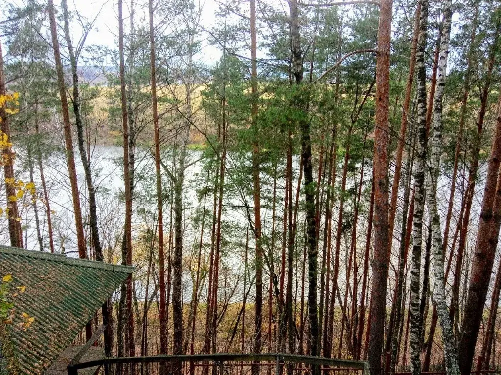 Участок на высоком берегу Москва - реки в Барвихе, Рублевка 5 км. - Фото 9