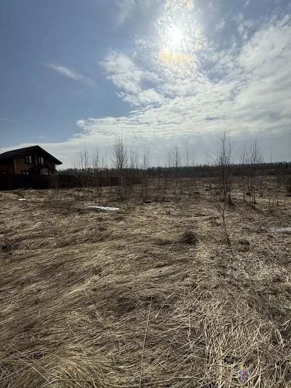 Продаю участок 12 соток под ПМЖ, д. Беспятово, Ступинский район. - Фото 9