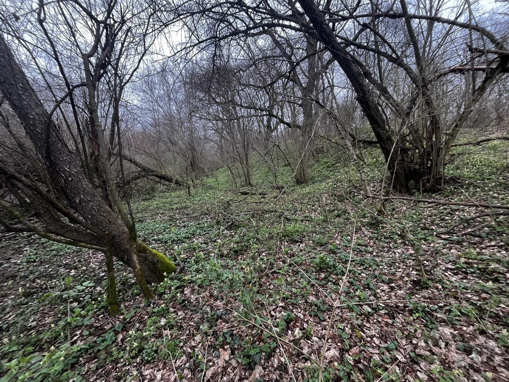 Продажа участка, Ставропольская, Северский район - Фото 3