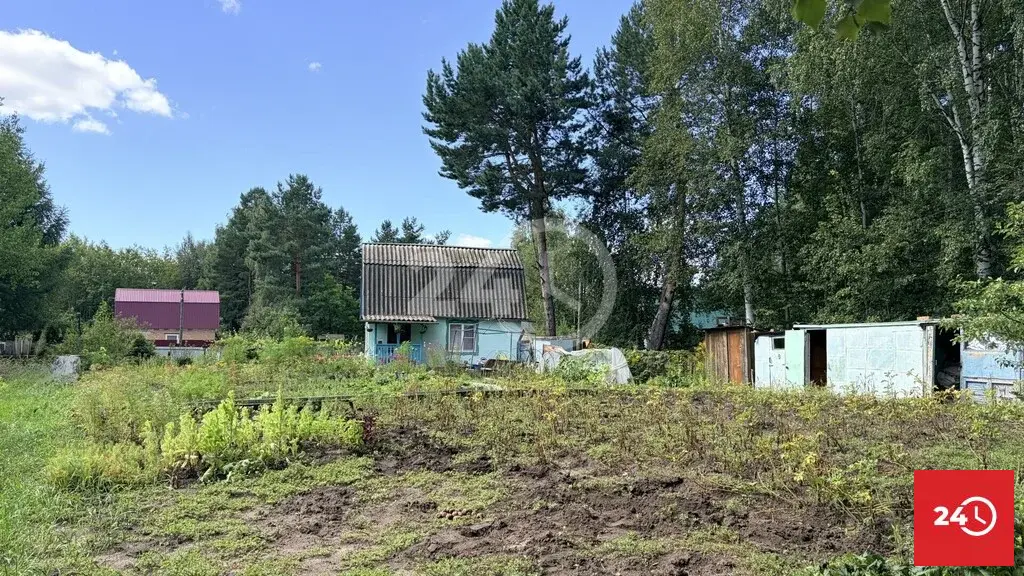 В продаже дача в лесу СНТ Сосенки - Фото 15