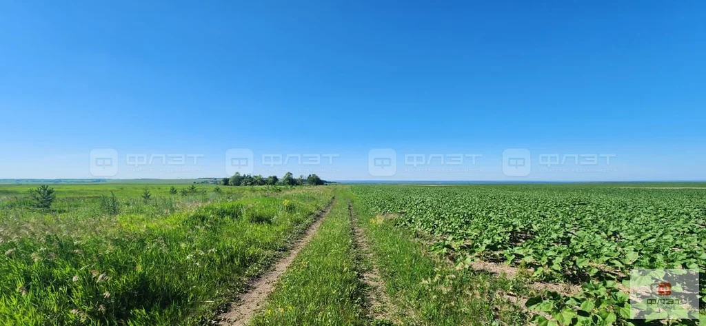 Продажа участка, Яшельча, Камско-Устьинский район, дом 124 - Фото 5