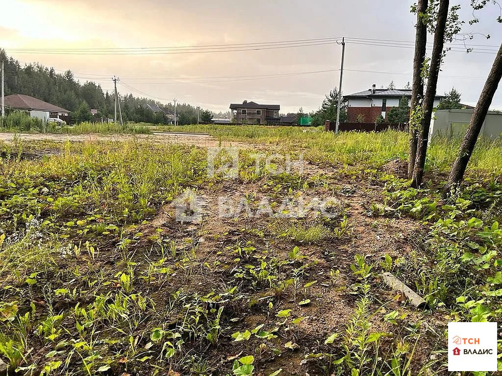 городской округ Щёлково, деревня Шевёлкино, Каштановая улица,  земля ... - Фото 3