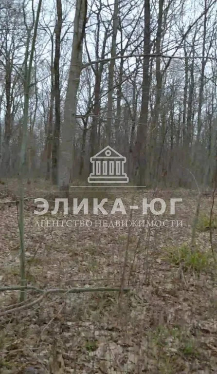 Продажа участка, Новомихайловский, Крымский район, Лесной-мкр. - Фото 1