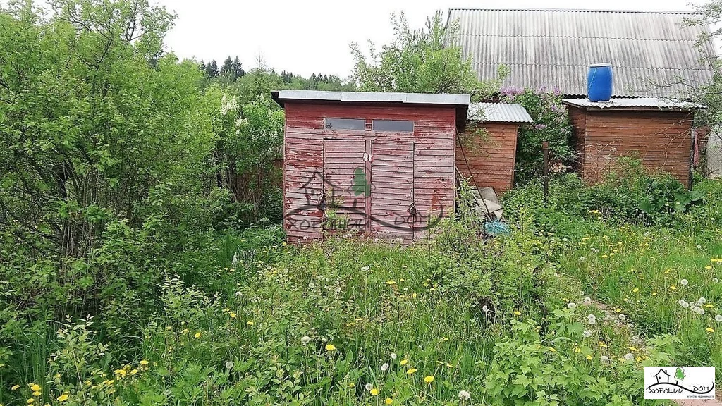 Погода в толстяково солнечногорский