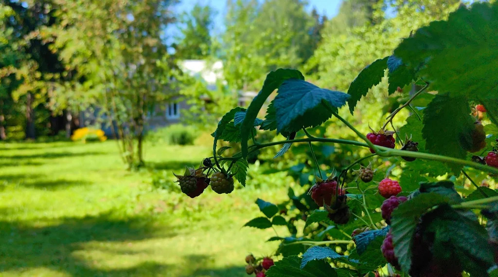 Продажа дома, Апрелевка, Наро-Фоминский район, ул. Кутузова - Фото 9