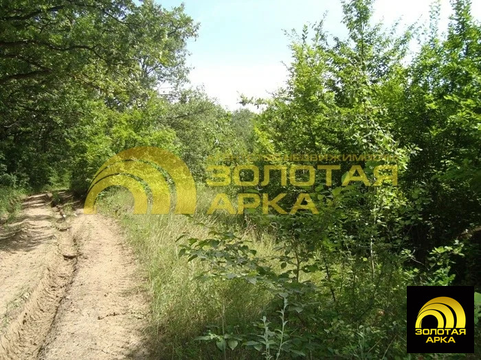 Продажа участка, Смоленская, Северский район, ул. Советская - Фото 7