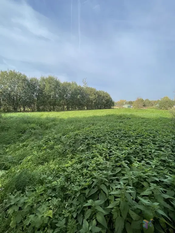 Продам участок - Фото 11