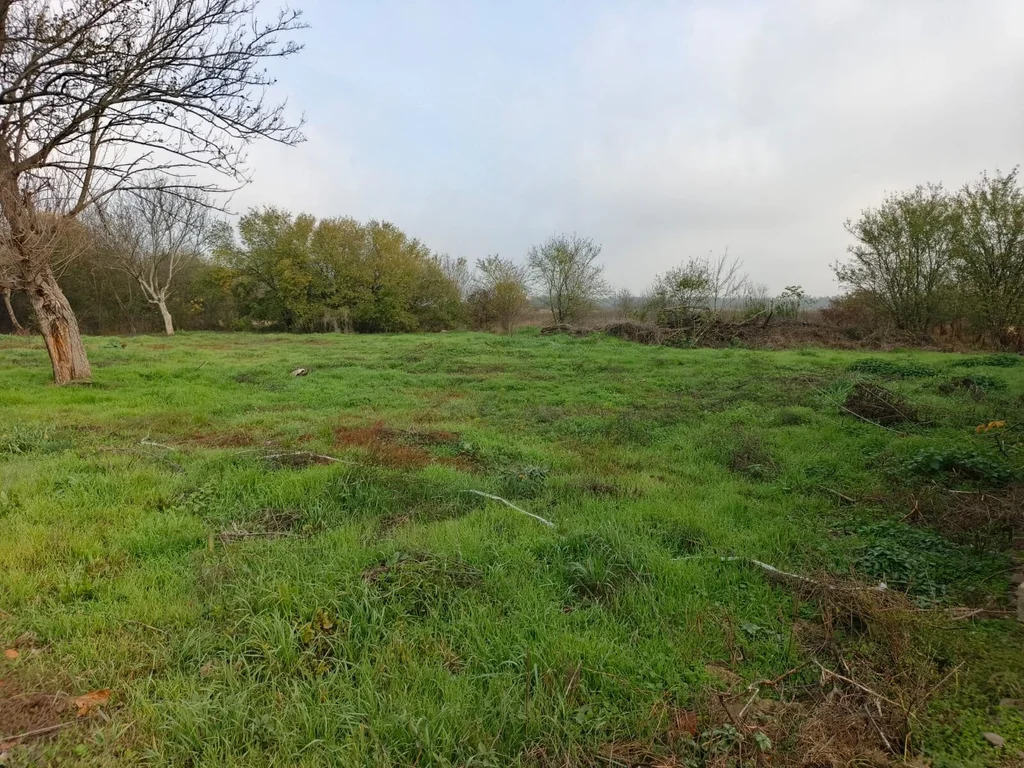 Продажа участка, Бончковский, Северский район - Фото 4