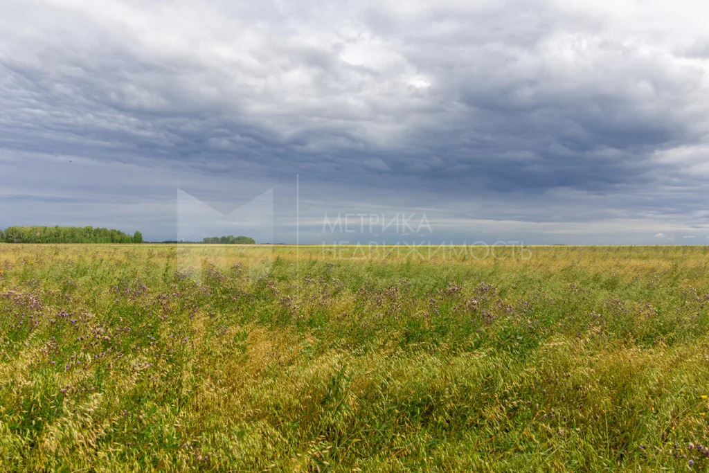 Продажа земельного участка, Тюменский район, Тюменский р-н - Фото 0
