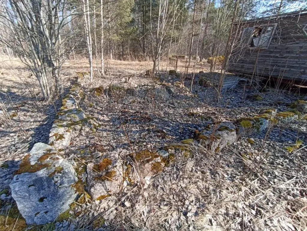 Участок в 100 м от озера Губановское - Фото 17