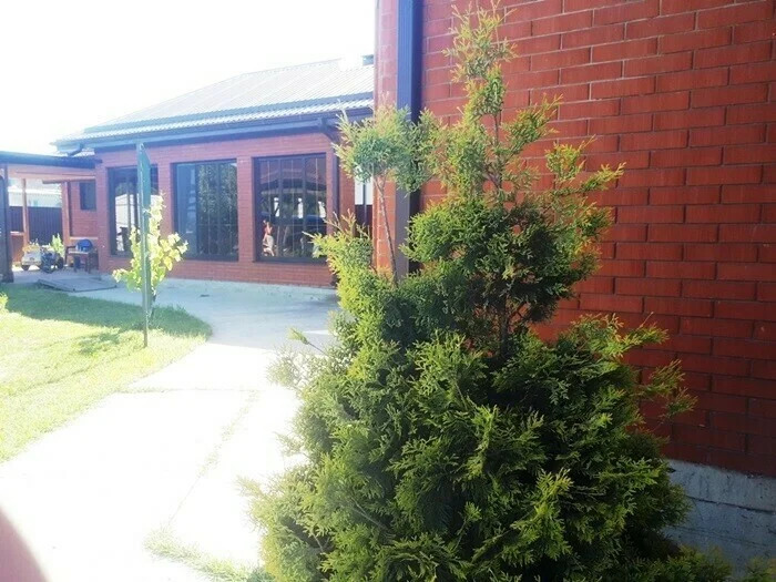 Продажа дома, Абинск, Абинский район, ул. Пролетарская - Фото 18
