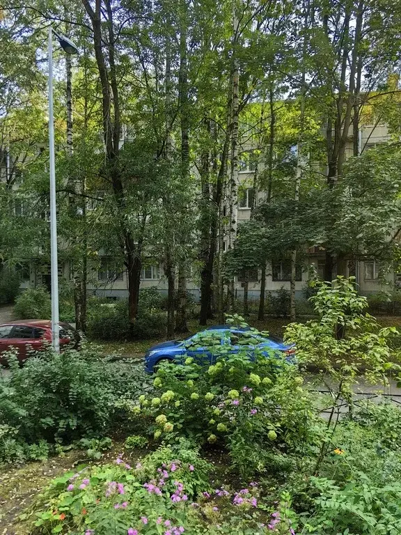 аренда 1к. квартиры/ м. академическая/ у метро / все есть / 22.990руб. - Фото 40