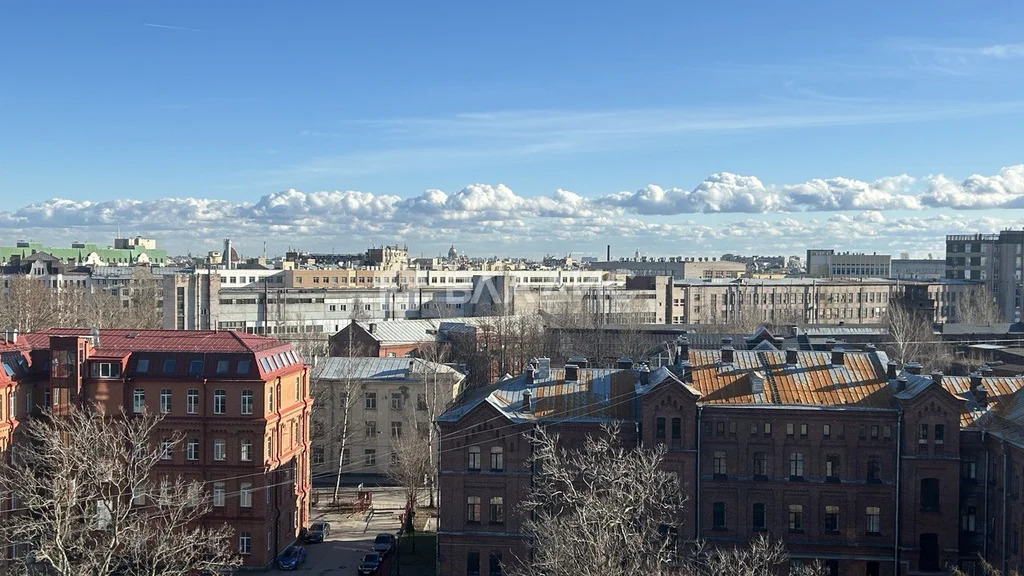 Санкт-Петербург, улица Профессора Попова, д.37к3, 3-комнатная квартира ... - Фото 32