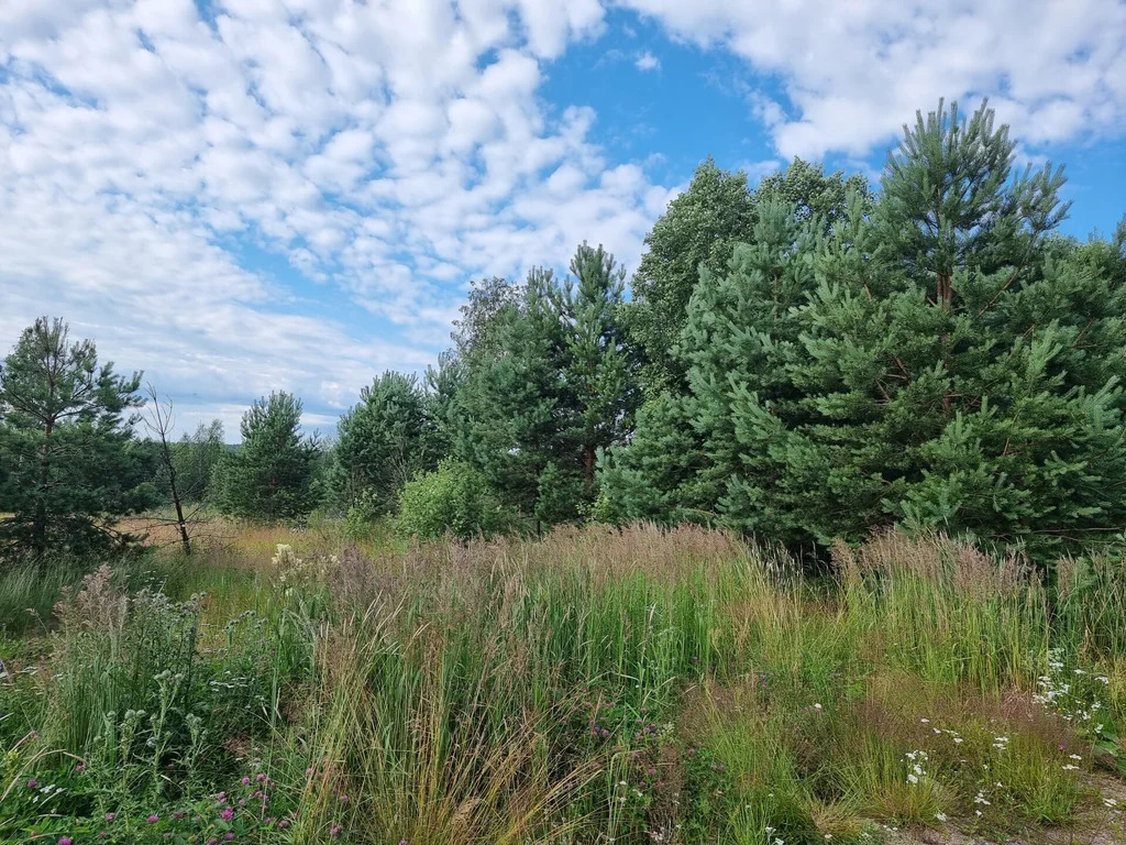 Продажа участка, Бородинское, Выборгский район - Фото 4