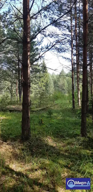 Уникальные участки в СНТ Междуречье д.Саввино - Фото 7