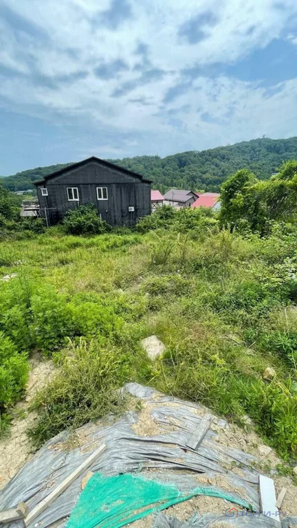 Продажа участка, Веселое, садоводческое товарищество Россия - Фото 3