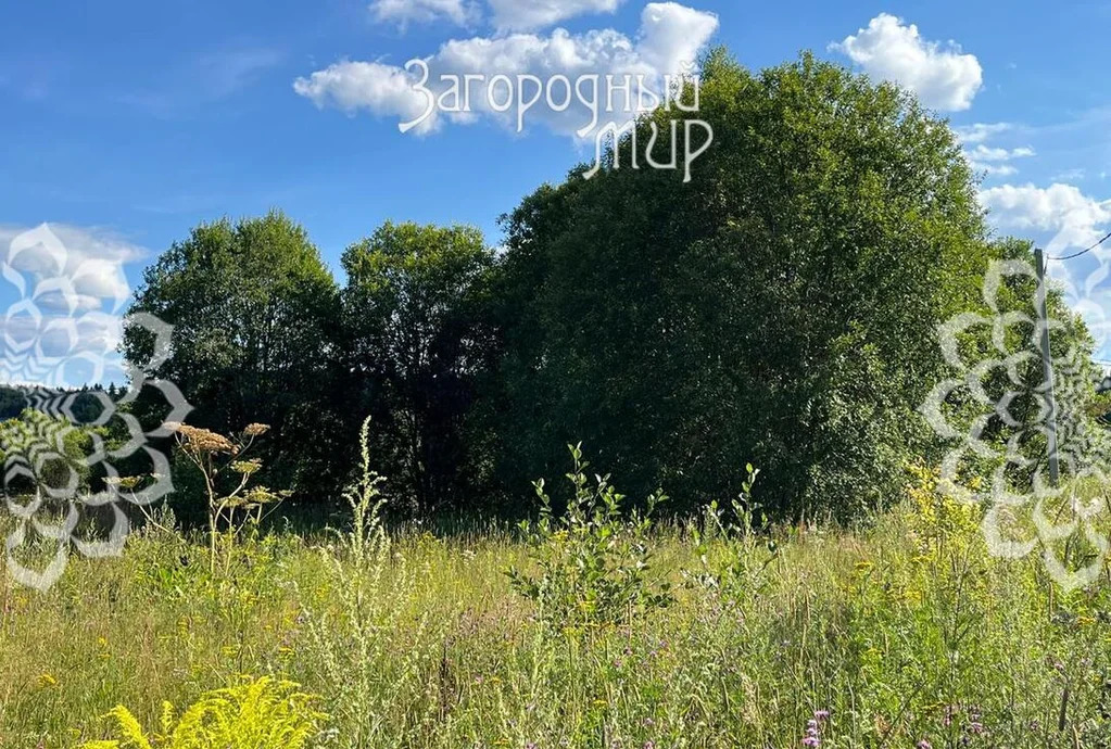 Продам участок, Дмитровское шоссе, 50 км от МКАД - Фото 4