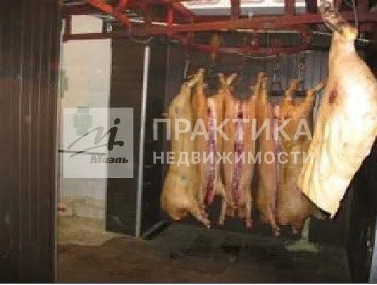 Продажа производственного помещения, Сафоново, Раменский район, ул. ... - Фото 12