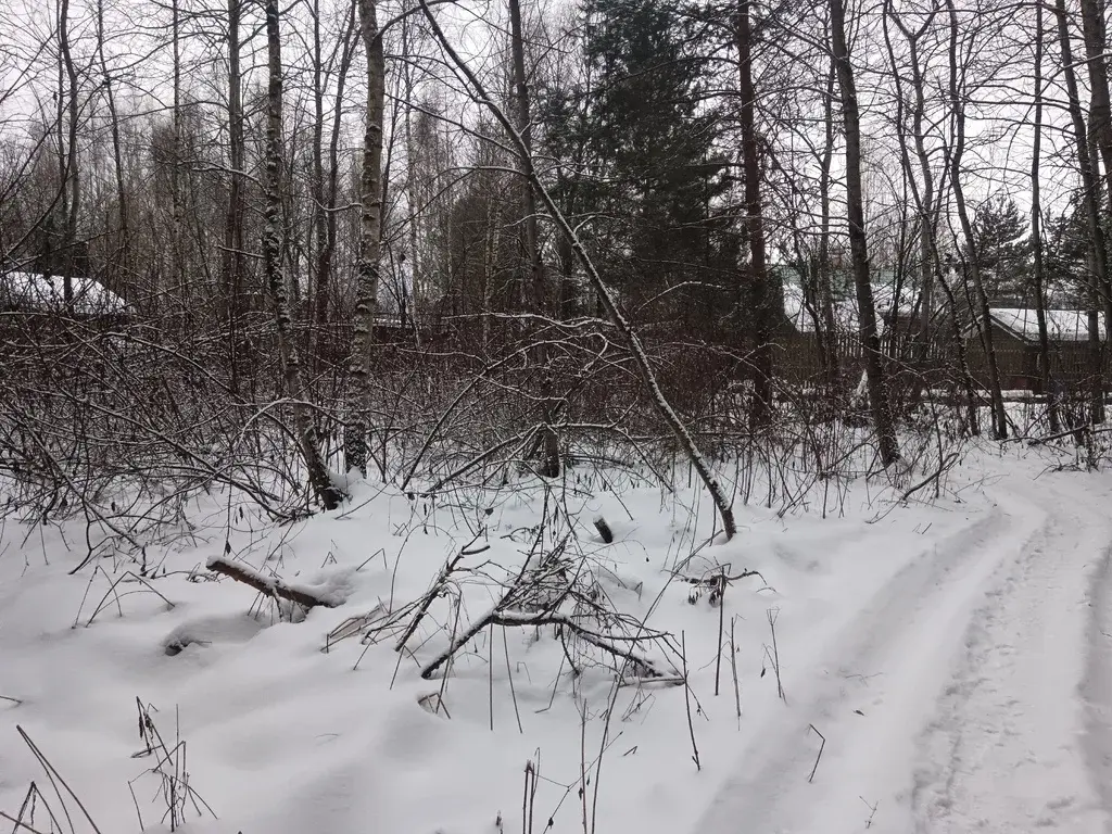 Продам земельный участок 19 соток в д.Чиверево, г.о. Мытищи - Фото 3