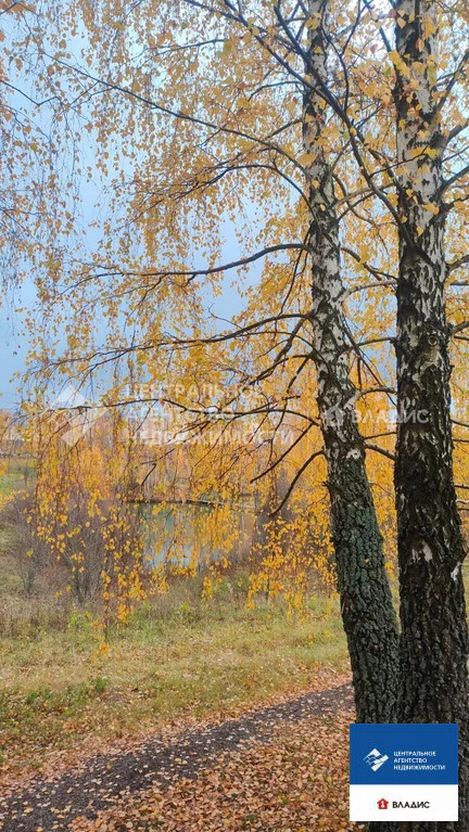 Продажа готового бизнеса, Гавердово, Рязанский район, ул. Радюкина - Фото 15