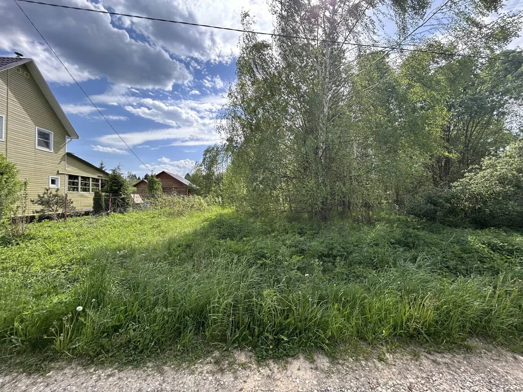Продажа участка, Дмитровский район, СНТ Отрадное - Фото 3