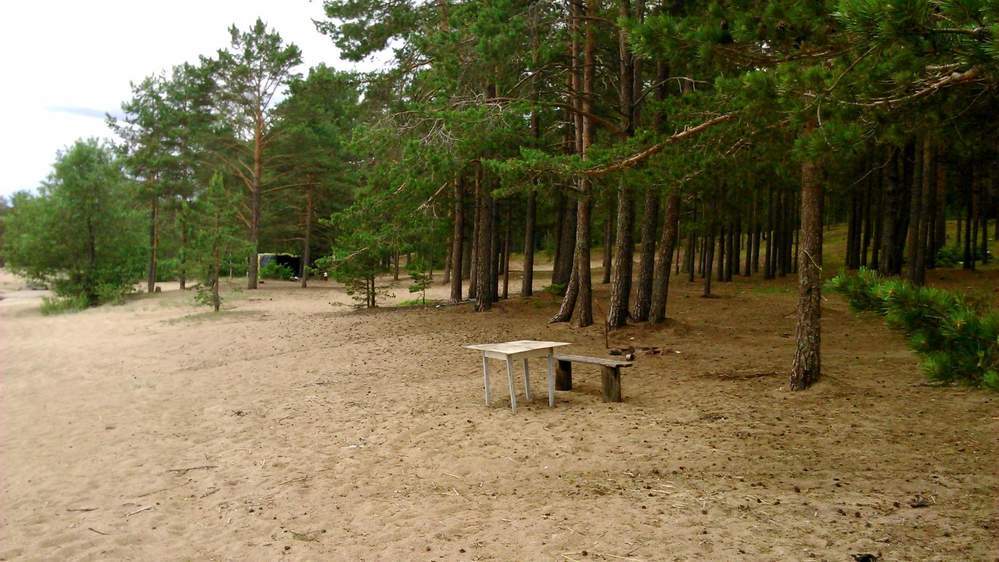 Поселок большой бор выборгский район. Большой бор выборгский район. Большой бор выборгский район финский залив. Большой бор выборгский район ленинградской области. Большой бор выборг пляж.