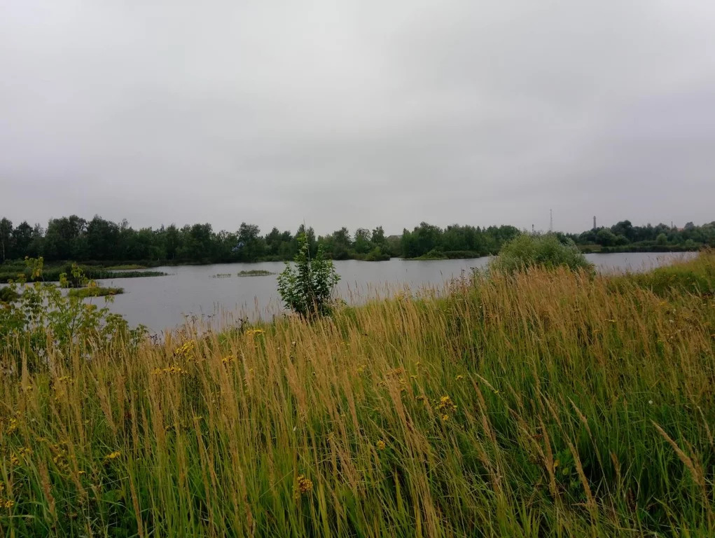деревня анисимово в калужской области малоярославецкий район. снт ника малоярославец. анисимово тверская область. деревня анисимово малоярославецкий район. ерденево малоярославец.