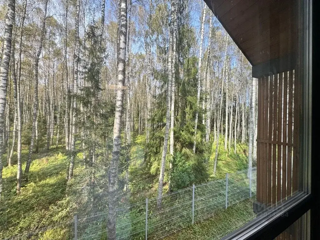 Продаю дом 310.0м ул. Сосновая, Ярославская область, ... - Фото 26