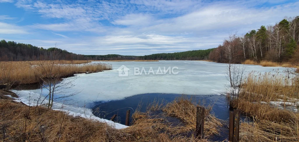 Селивановский район, деревня Копнино, Октябрьская улица,  дом на ... - Фото 23