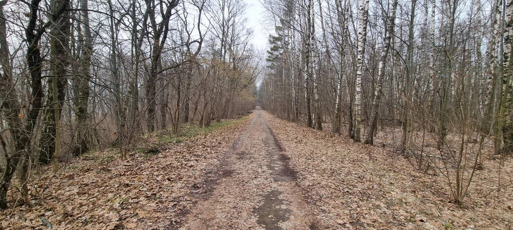 База отдыха "Лесные дали" - Фото 2