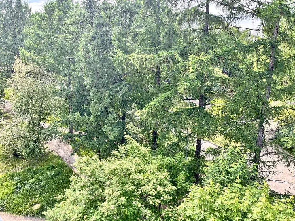 3-комн. квартира в расширенном центре Петрозаводскак - Фото 4