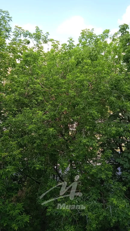 Продажа квартиры, ул. Широкая - Фото 18
