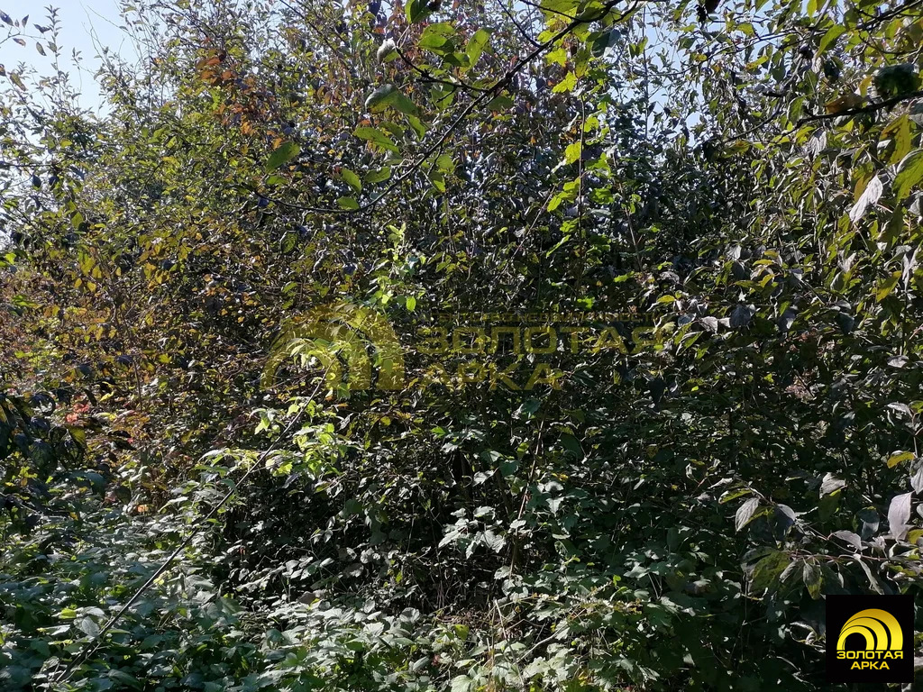 Продажа участка, Ольгинский, Абинский район - Фото 9