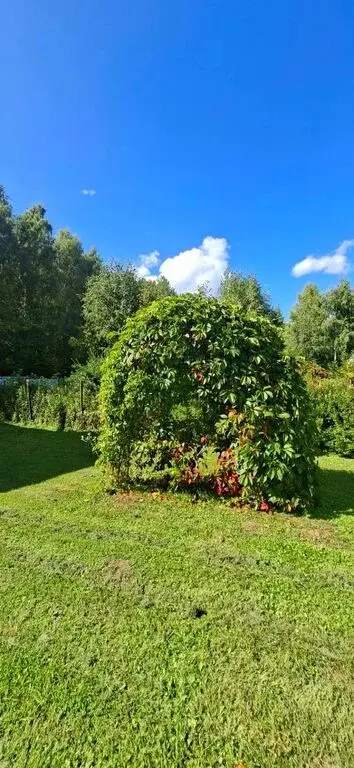 Дача - Фото 10