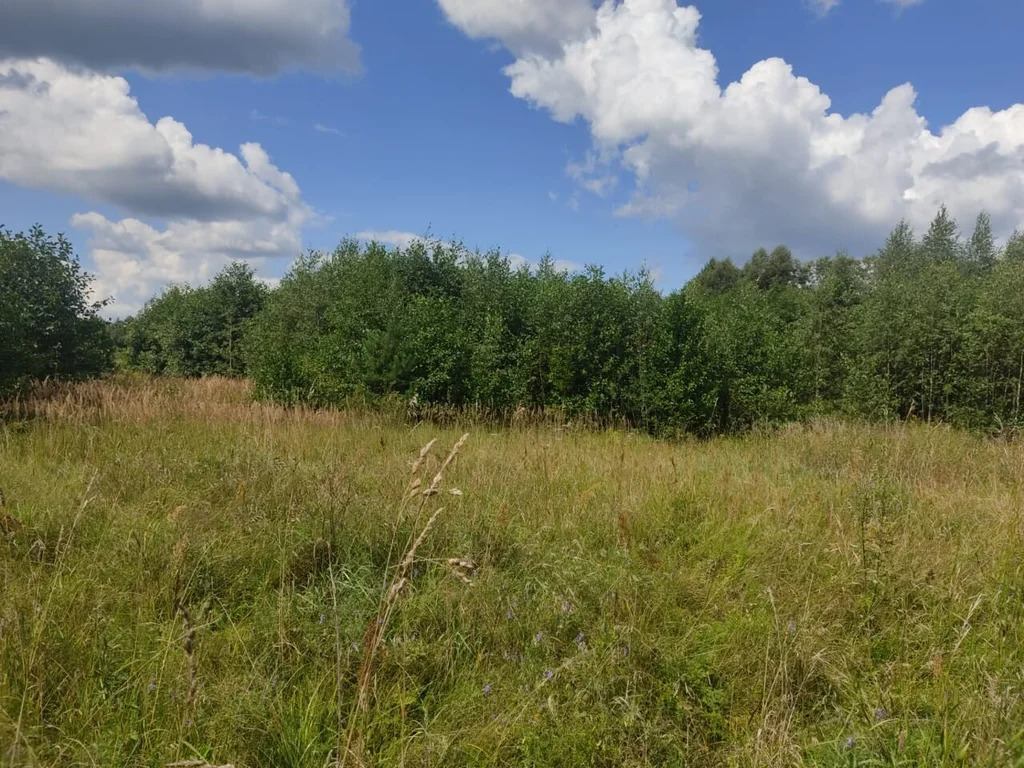 Продажа участка, Орехово-Зуевский район - Фото 2