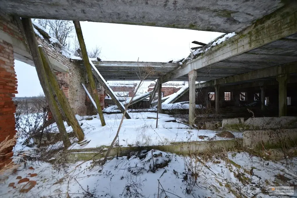 Здание коровника площадью 3150 кв.м на земельном участке 1 Га - Фото 6