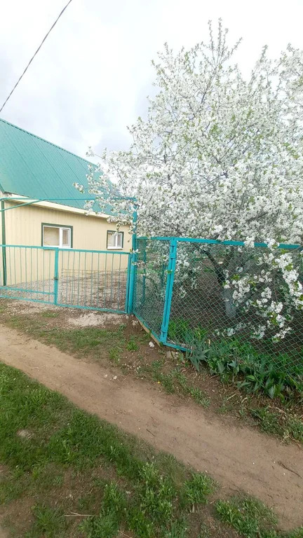 Продажа дома, Балаковский район, ТСН имени Мичурина тер. - Фото 14