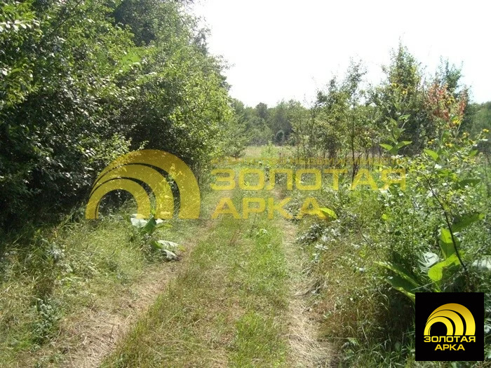 Продажа участка, Смоленская, Северский район, ул. Советская - Фото 6