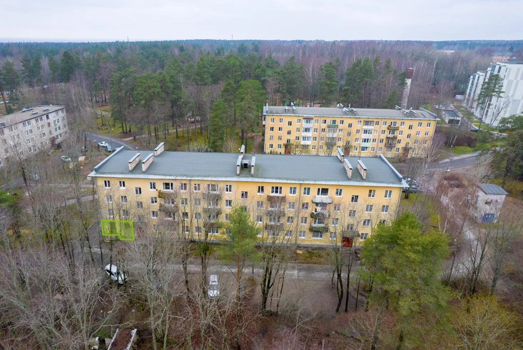 Продается ПСН 30.9 м2 - Фото 2