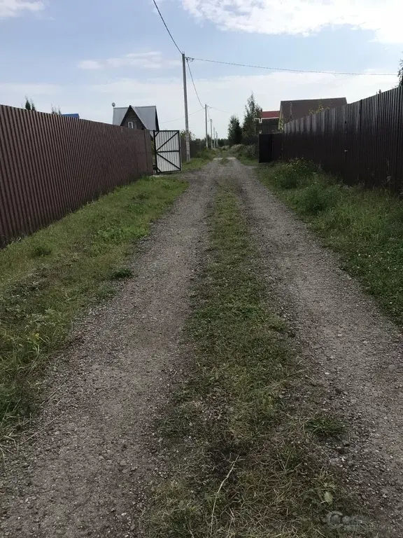 участок снт химик. московская область снт химик. снт химик кузнецы павловский посад. участок снт химик. 108 км снт можайск.