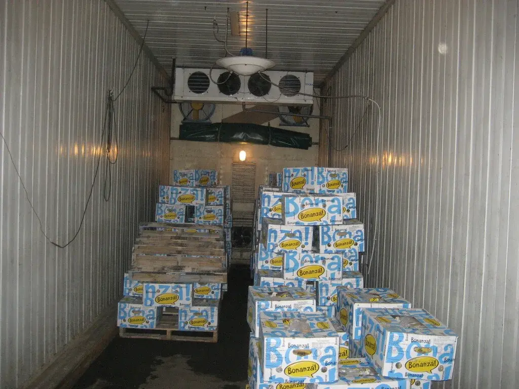 Аренда охлаждаемого склада - Фото 3